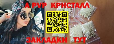шишки Новодвинск