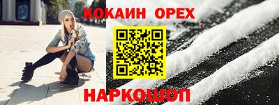 шишки Новодвинск