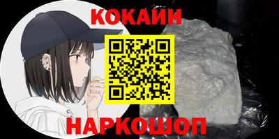 шишки Новодвинск