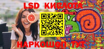 шишки Новодвинск