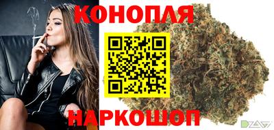 твердый Новозыбков
