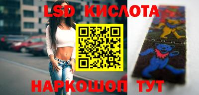 твердый Новозыбков