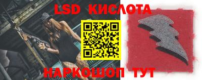 шишки Новодвинск