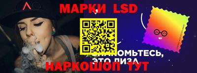 шишки Новодвинск