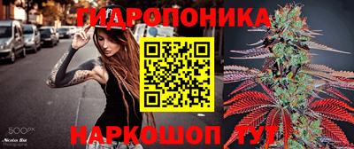 гидра Новокубанск