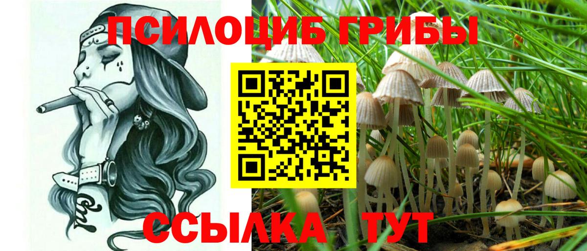 Псилоцибиновые грибы прущие грибы Якутск