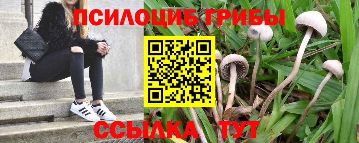 Псилоцибиновые грибы GOLDEN TEACHER  Псилоцибиновые грибы ЛСД  Вход с VPN  Якутск 